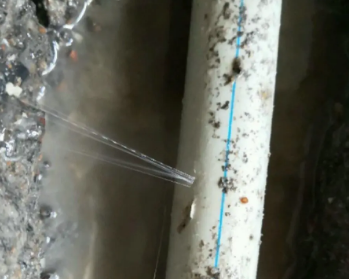 陆河卫生间测漏水多少钱