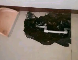 陆河卫生间测漏水多少钱